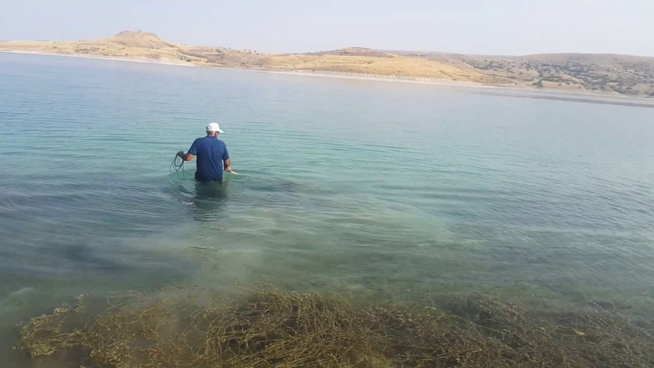 Balık Avı 1 (serpme ile) ELAZIĞ AĞIN