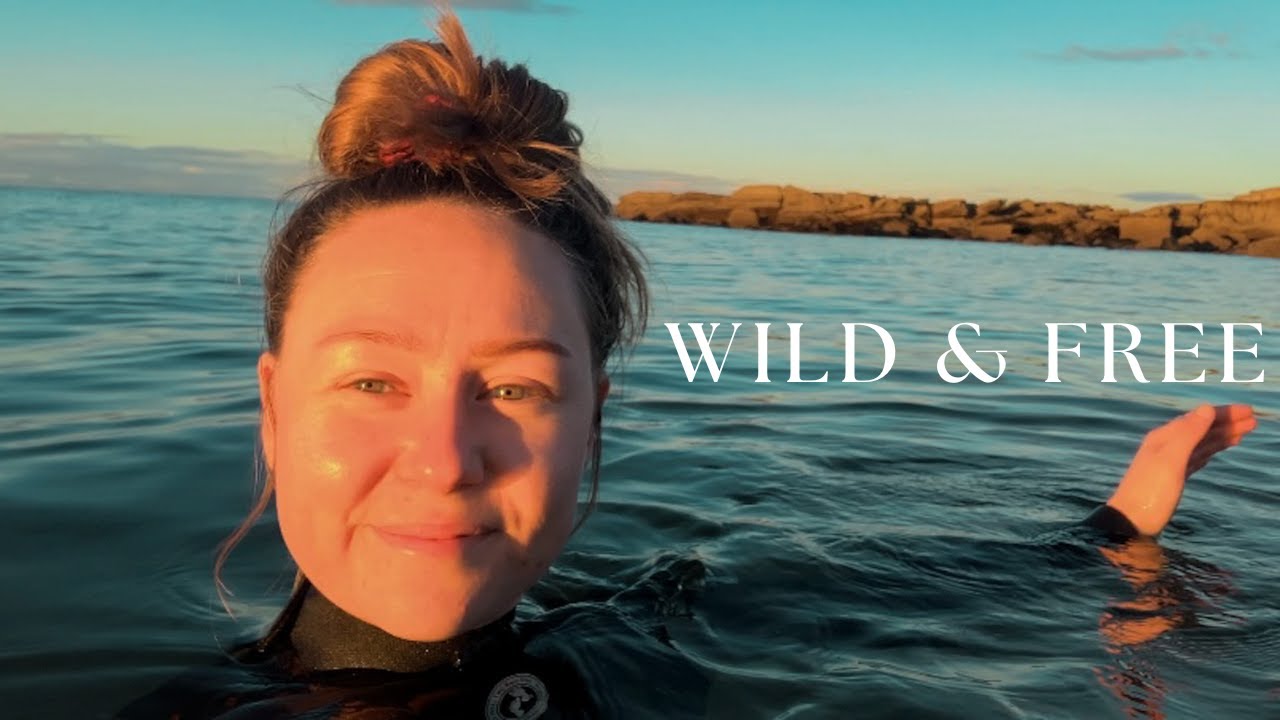 Wild & Free - Wild Swimming with Seabirds in Scotland's North Sea