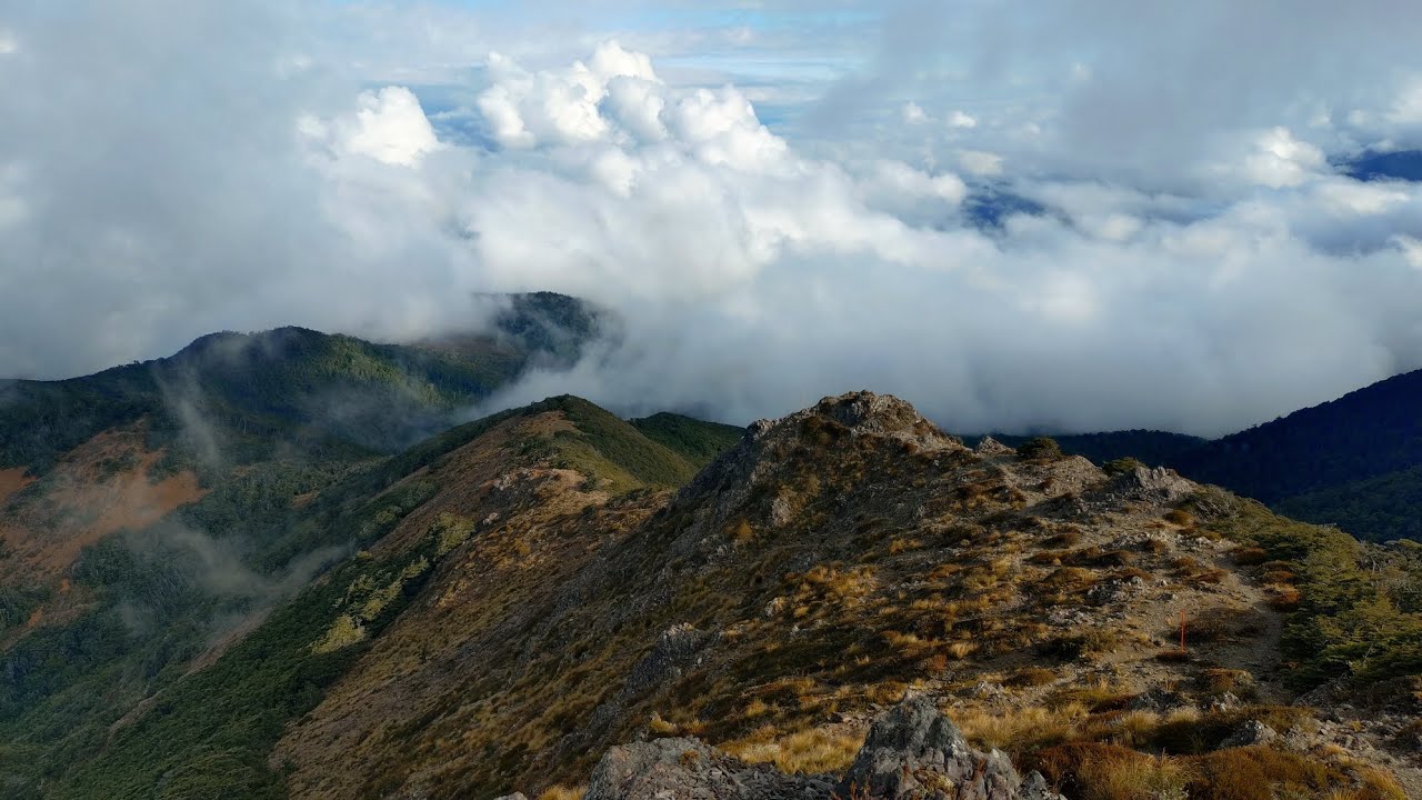 Te Araroa päivä 58