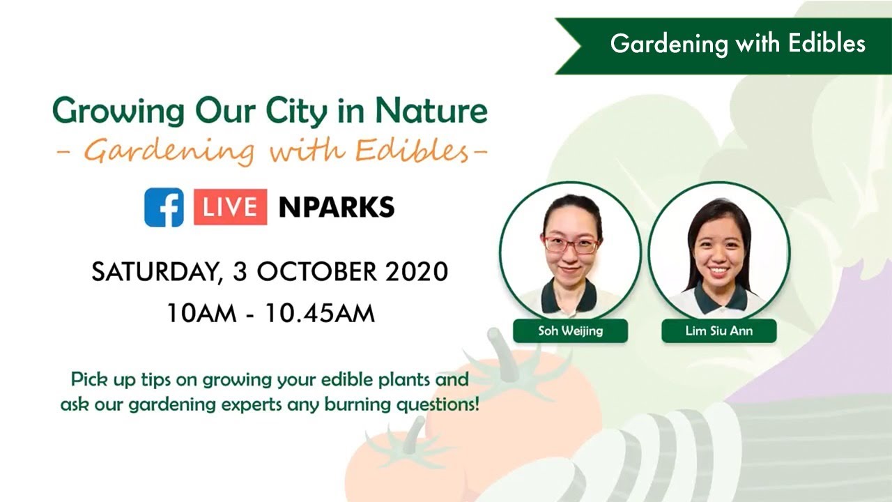Gardening with Edibles Facebook Live | Episode 3