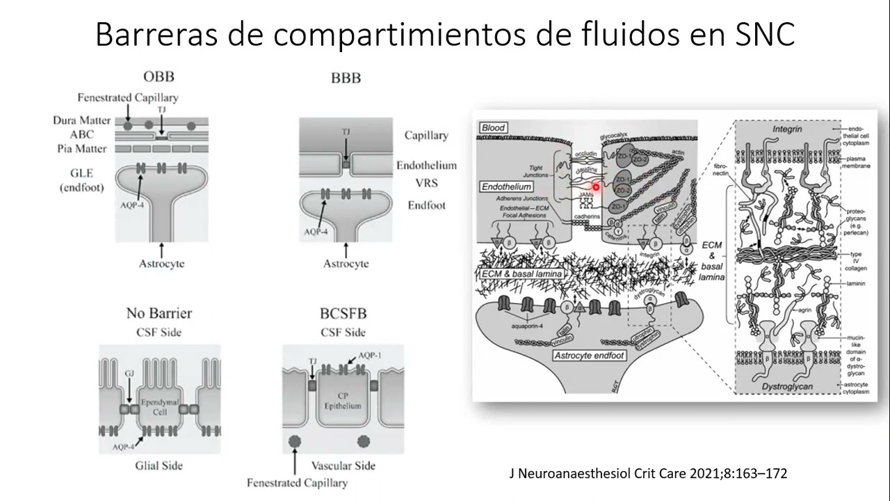 Manejo del Paciente con Edema Cerebral.