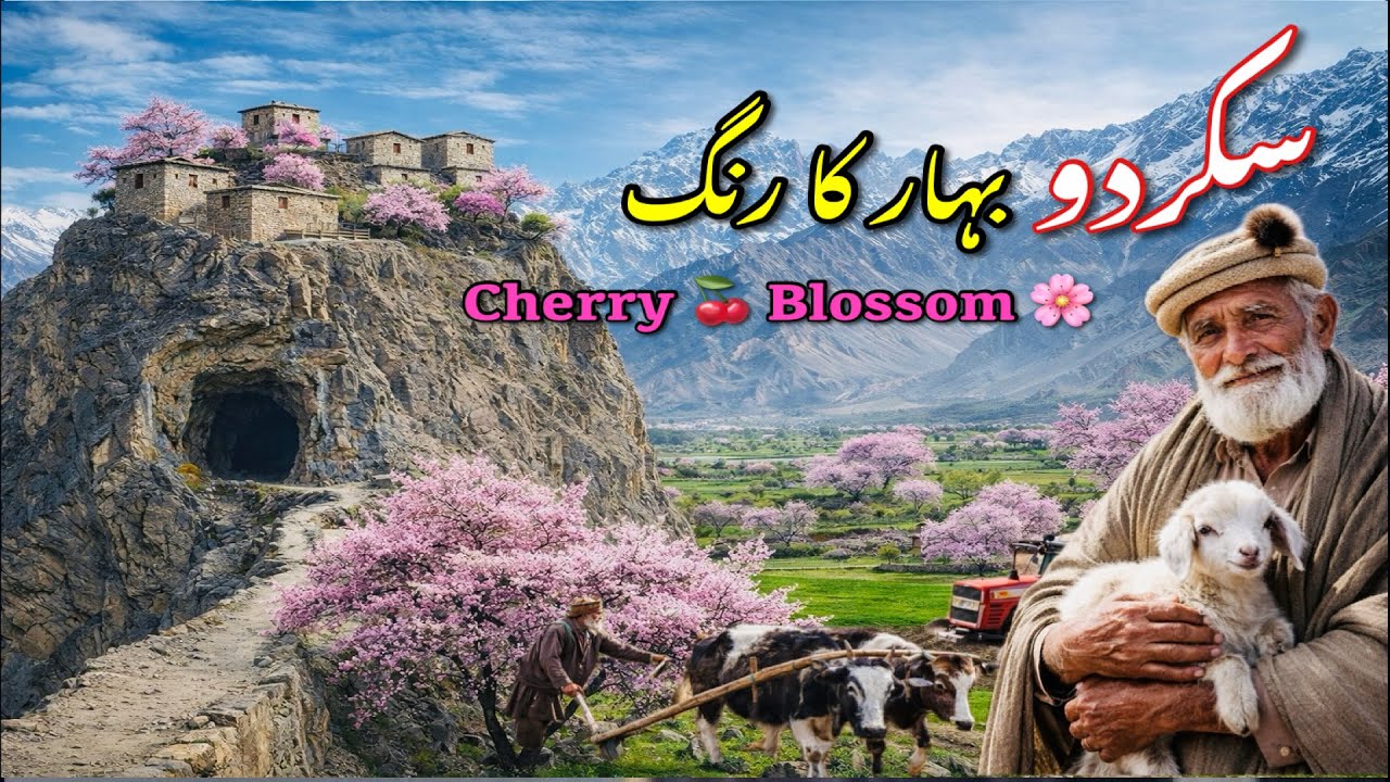 Cherry Blossom Skardu | Pakistan&rsquo;s Most Beautiful Spring Destination