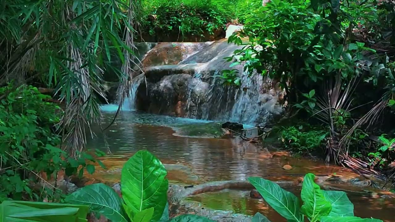 Relaxing Spa Music 💐 Gentle Sounds of Water 🌼 Relieves Stress and Anxiety ,Relax Music Piano