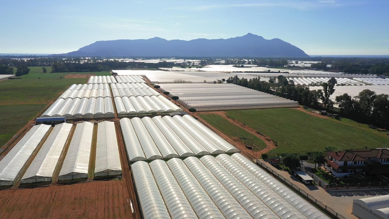 Cooperativa Agricola Orto di Campo