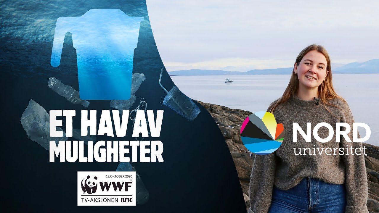 TV-aksjonen 2020: Et hav av muligheter