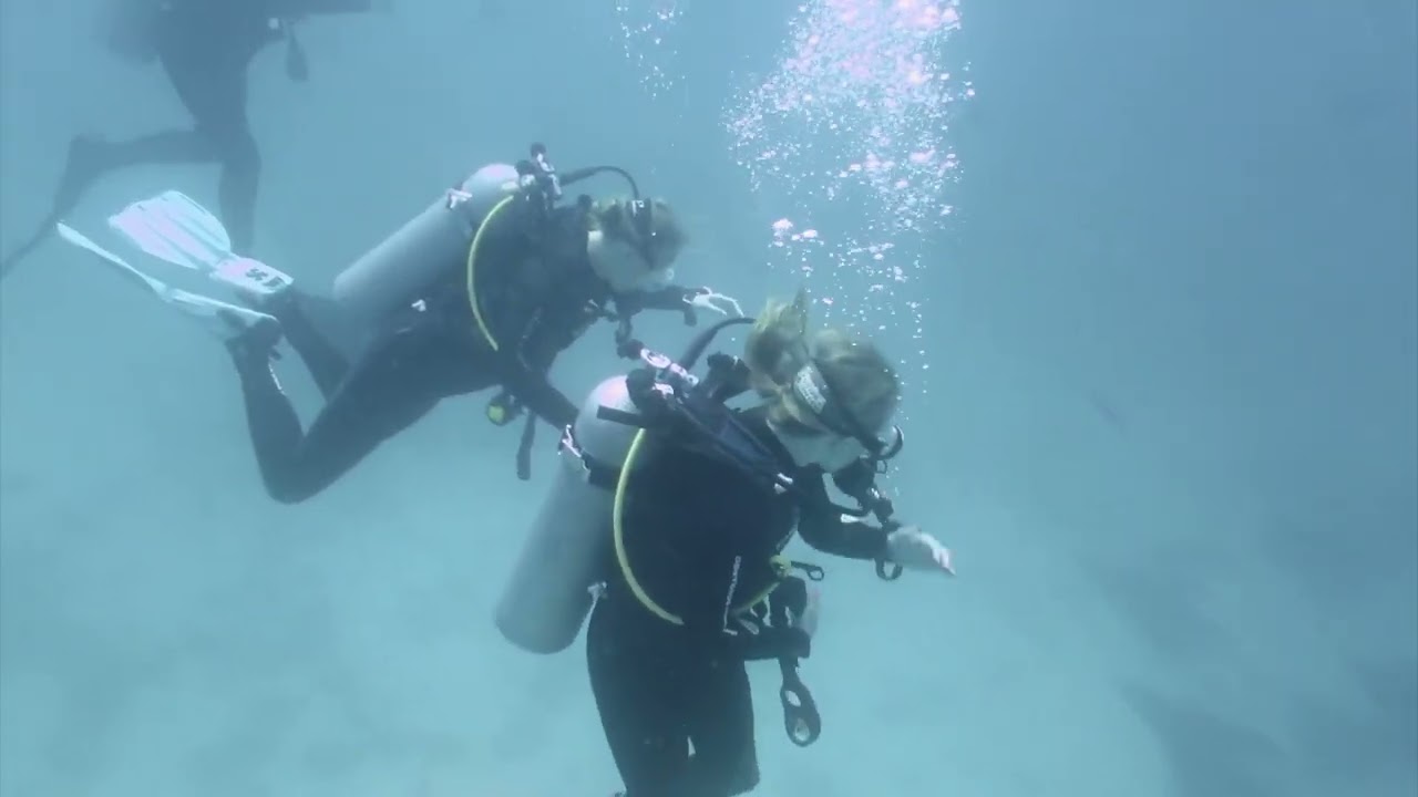 Diving Galapagos with Scuba Iguana July 2022