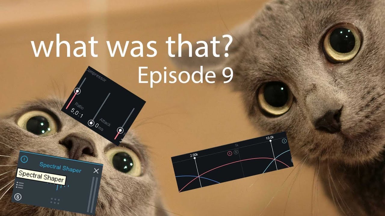 What was that? Ep. 9 Do you suffer from Digital Harshness?