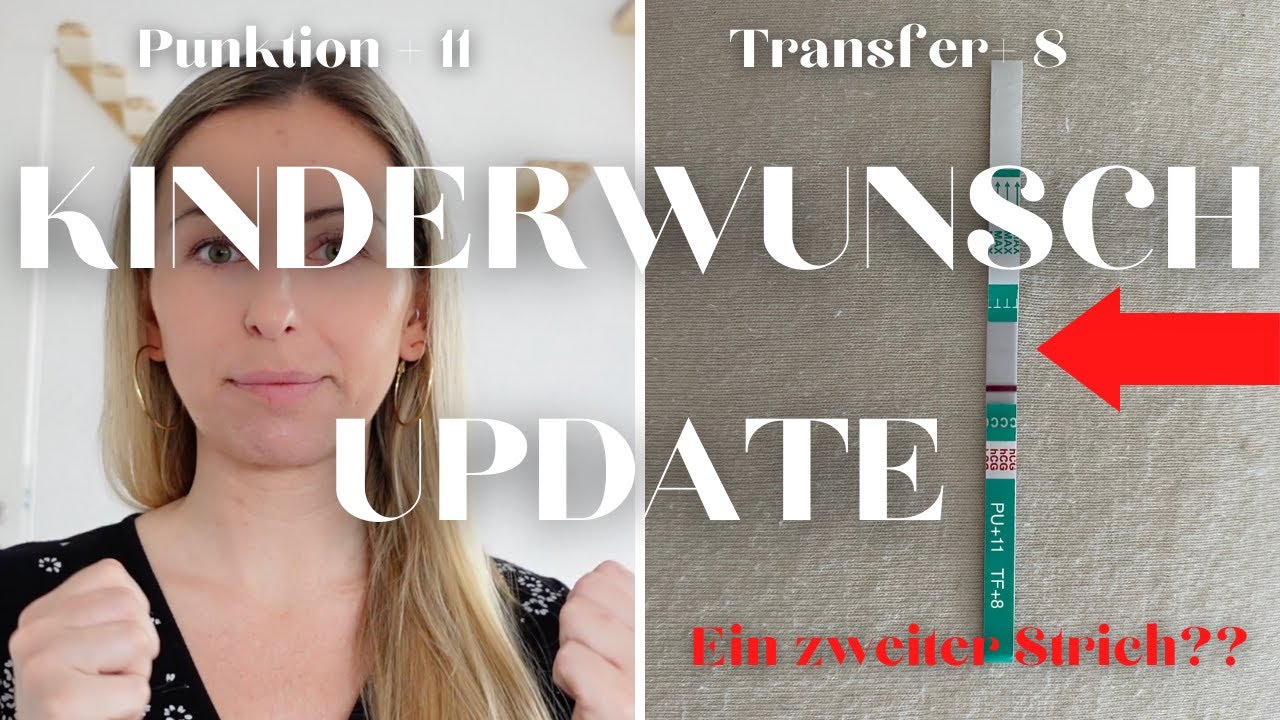 EIN ZWEITER STRICH ?? Schwangerschaftstest nach Kryotransfer | PU 11 / TF 8 | EverydayStory