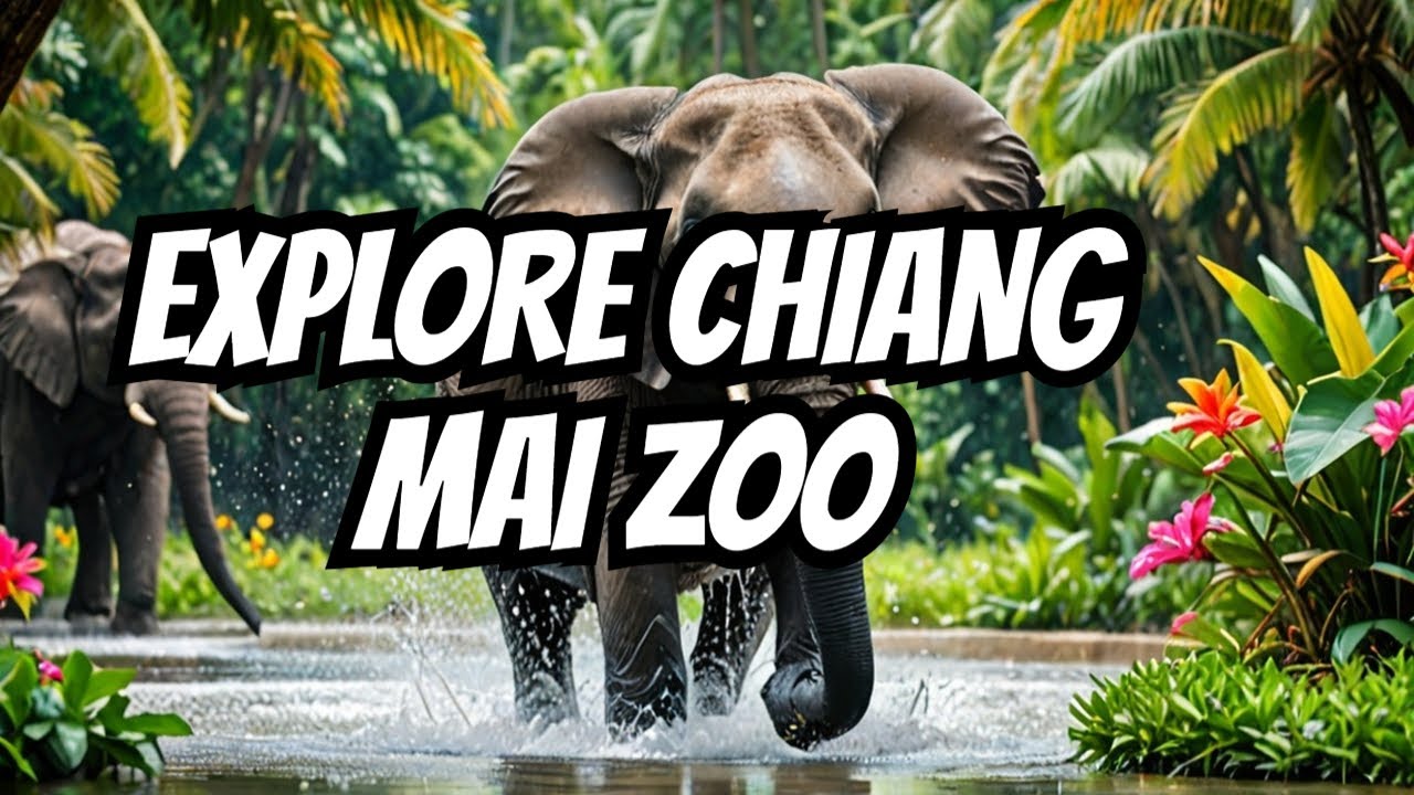 Chiang Mai ZOO (Thailand)