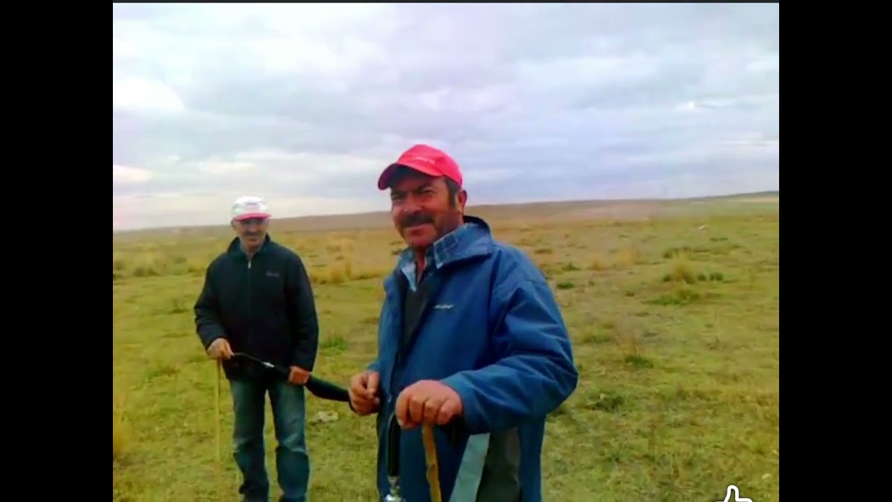 İTHAL ÇOBAN ARANIYOR!