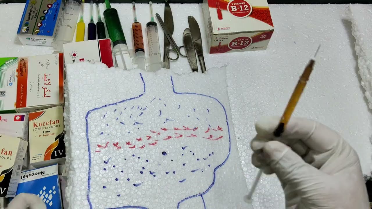 Im intramuscular Injection method 💉😱💊😱💉| education video 😱💉💉| 