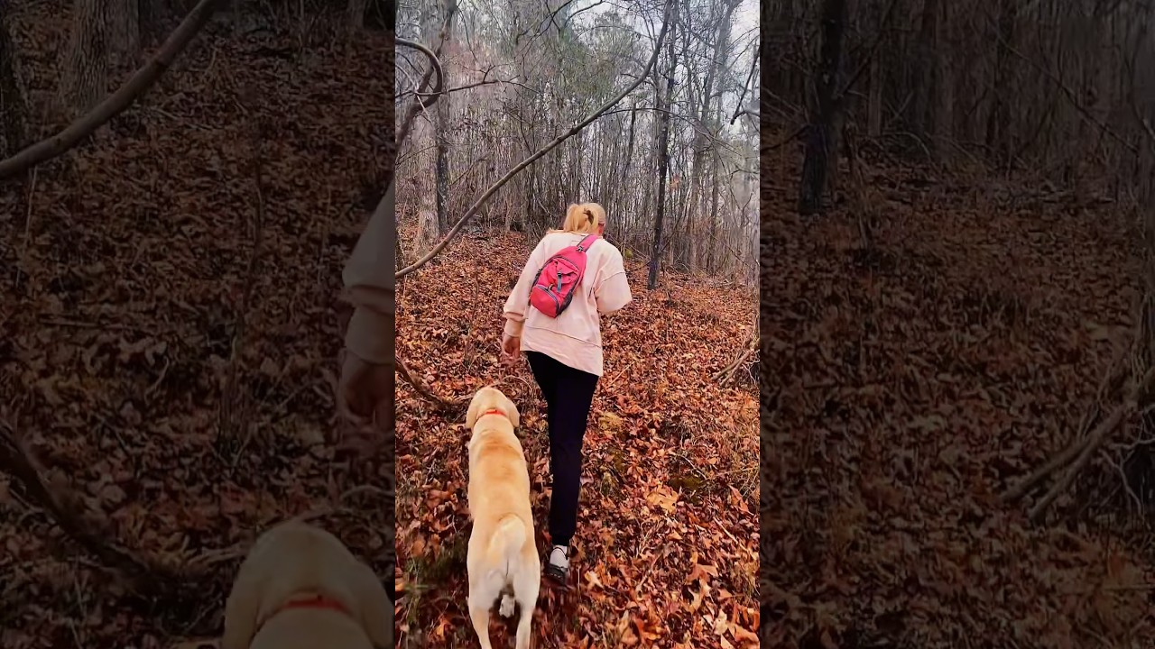 Review WaterFly Sling Bag! #Bushcraft #Woodcraft