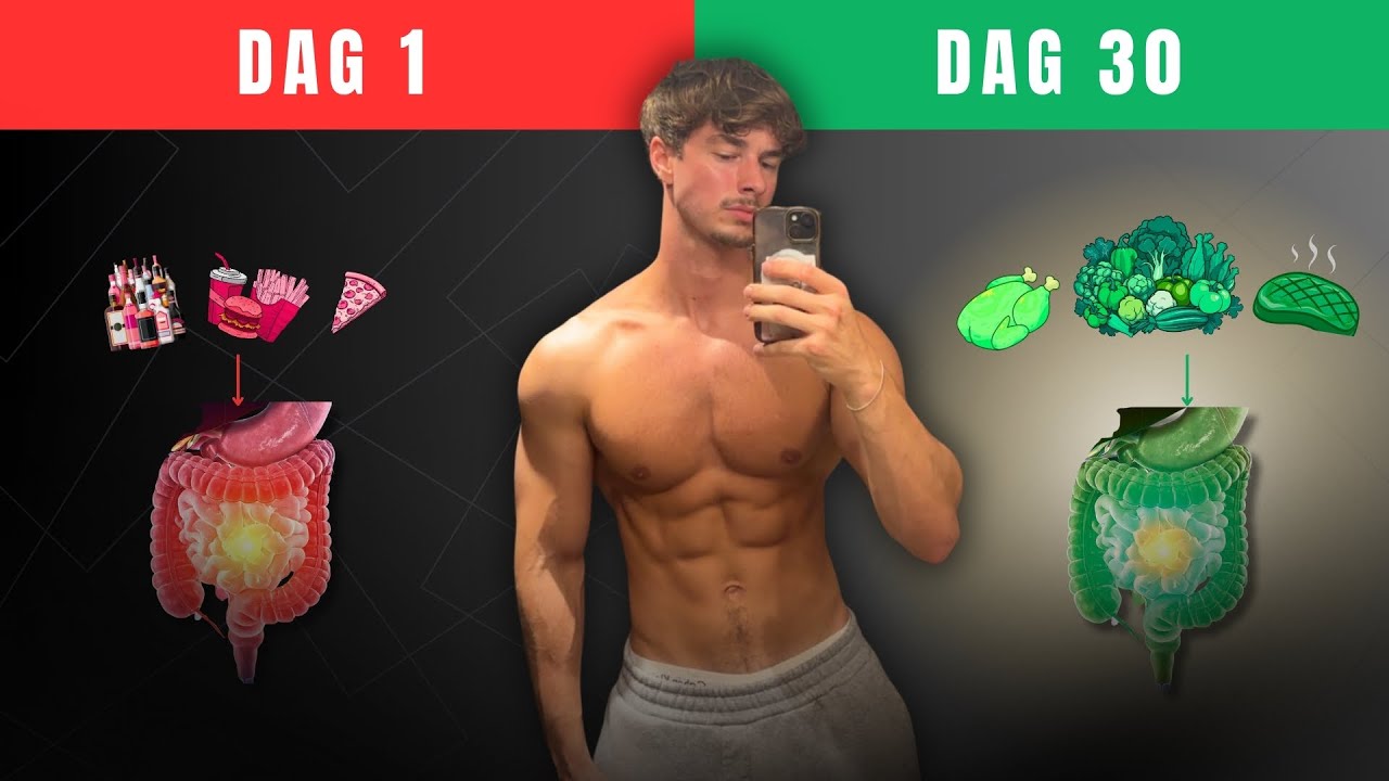 Je Darmen Saboteren Je Focus, Energie en Gains