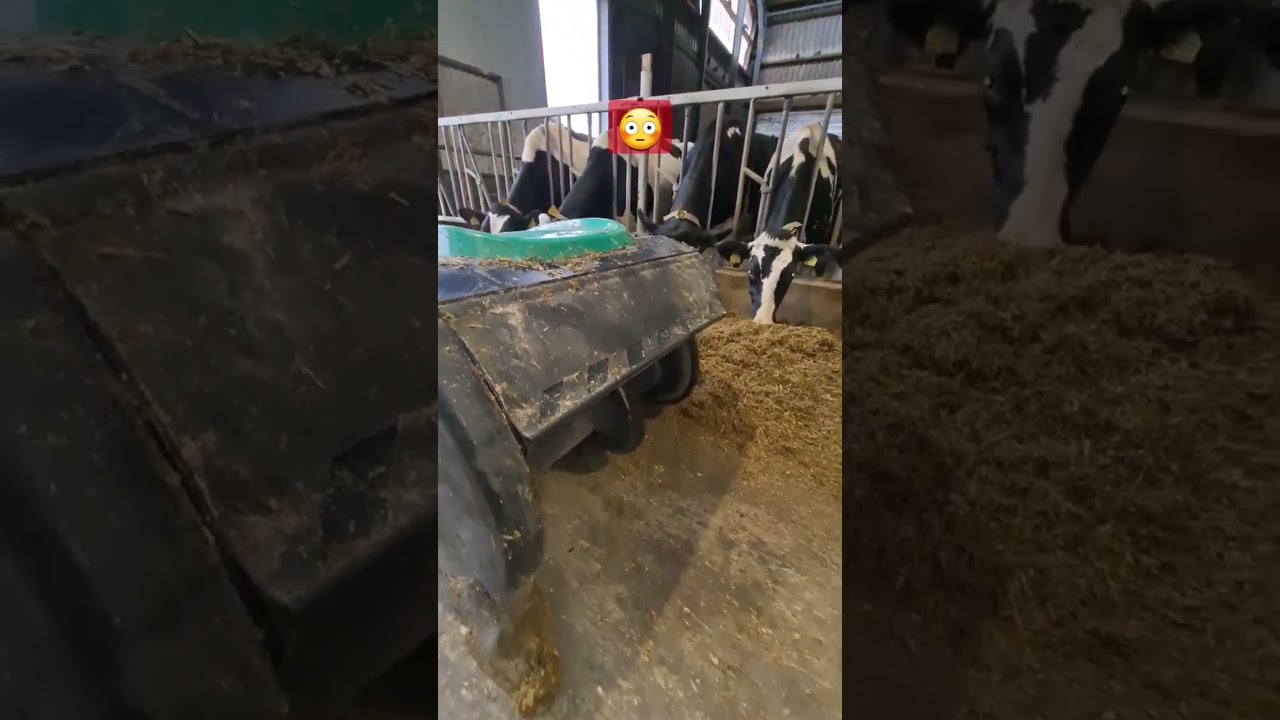 Farms now look like this |  Cows, Chickens, Horses and Robots #farming #animals #robot #cow #chicken