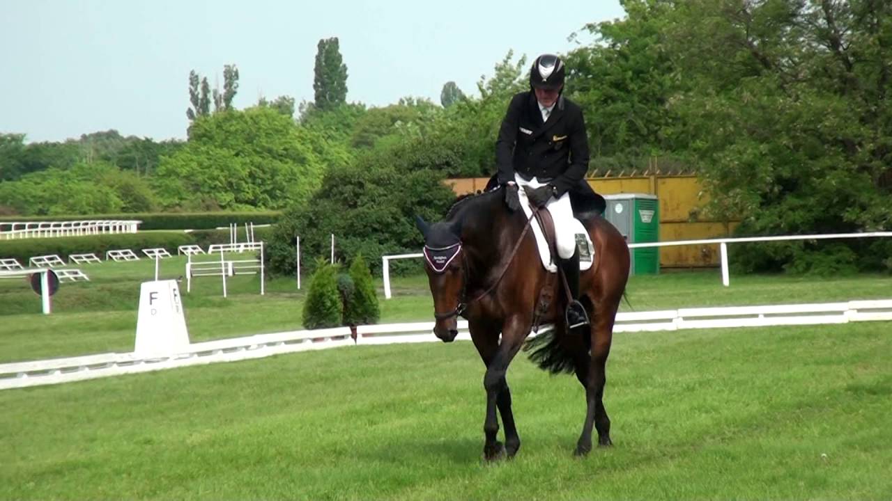 Jörg Kurbel - Entertain You - CIC3 - Dunakeszi-Alag 2016