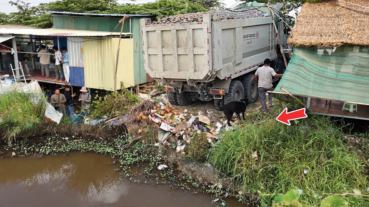 Great Start Work new Region Using Dump Truck 10-wheel & Huge Dozer fill stone to water
