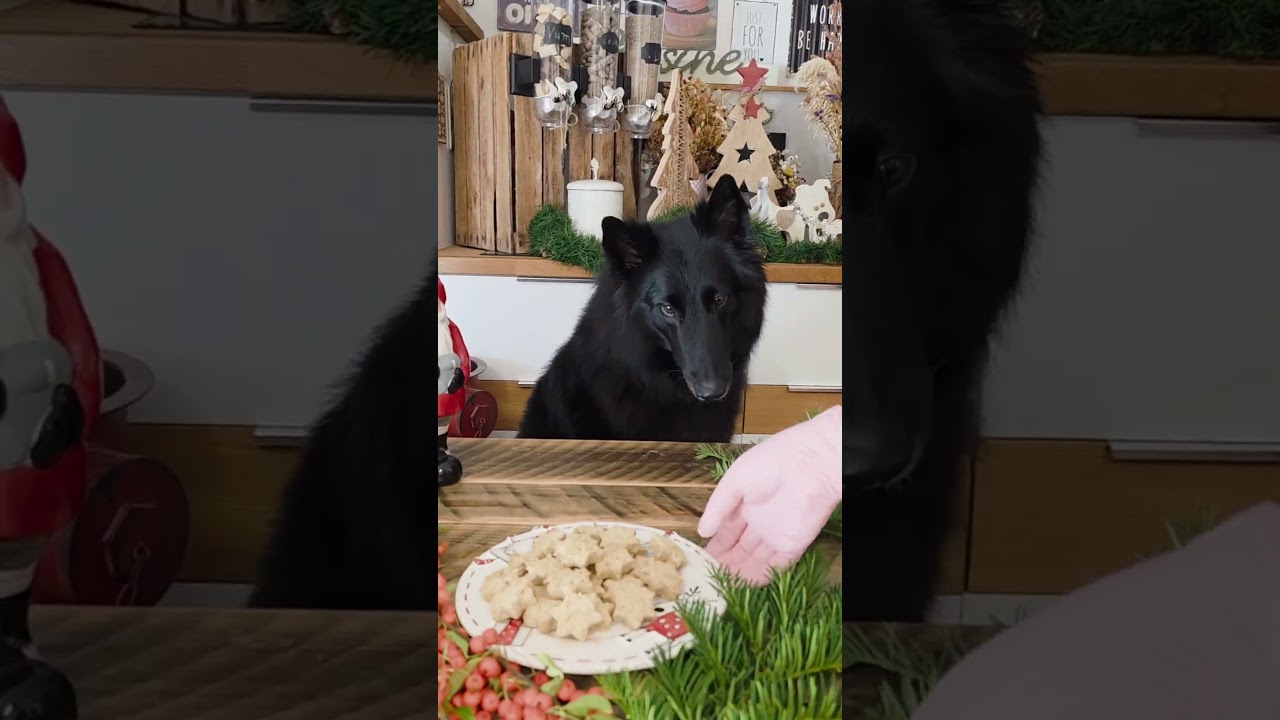 Świąteczne ciasteczka dla psa — jabłko, cynamon i Dental Flakes. Zdrowe i chrupiące! 🍎✨🐶
