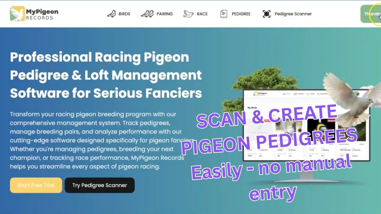 Urdu | How to Scan Pigeon Pedigrees Instantly in Our Software | Racing Pigeon Management Made Easy