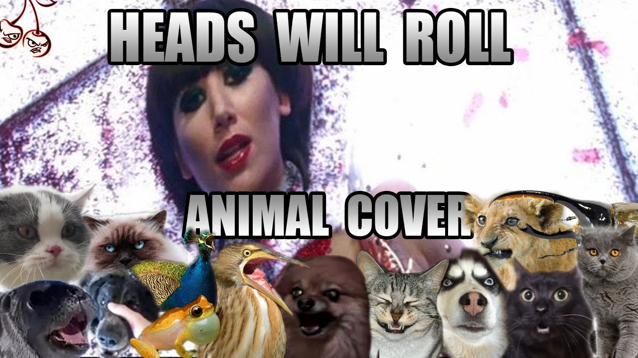 Yeah Yeah Yeahs - Heads Will Roll (Animal Cover)