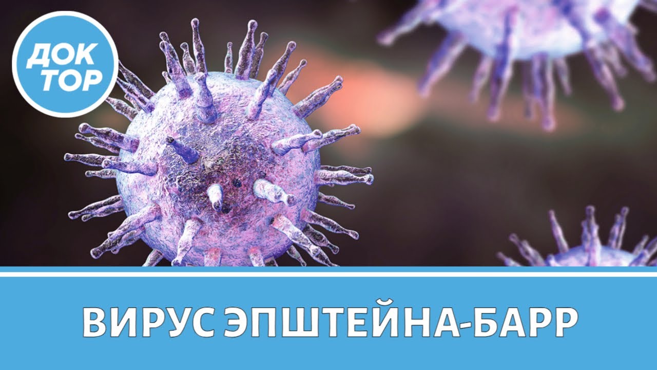 Вирус Эпштейна-Барр: что важно знать