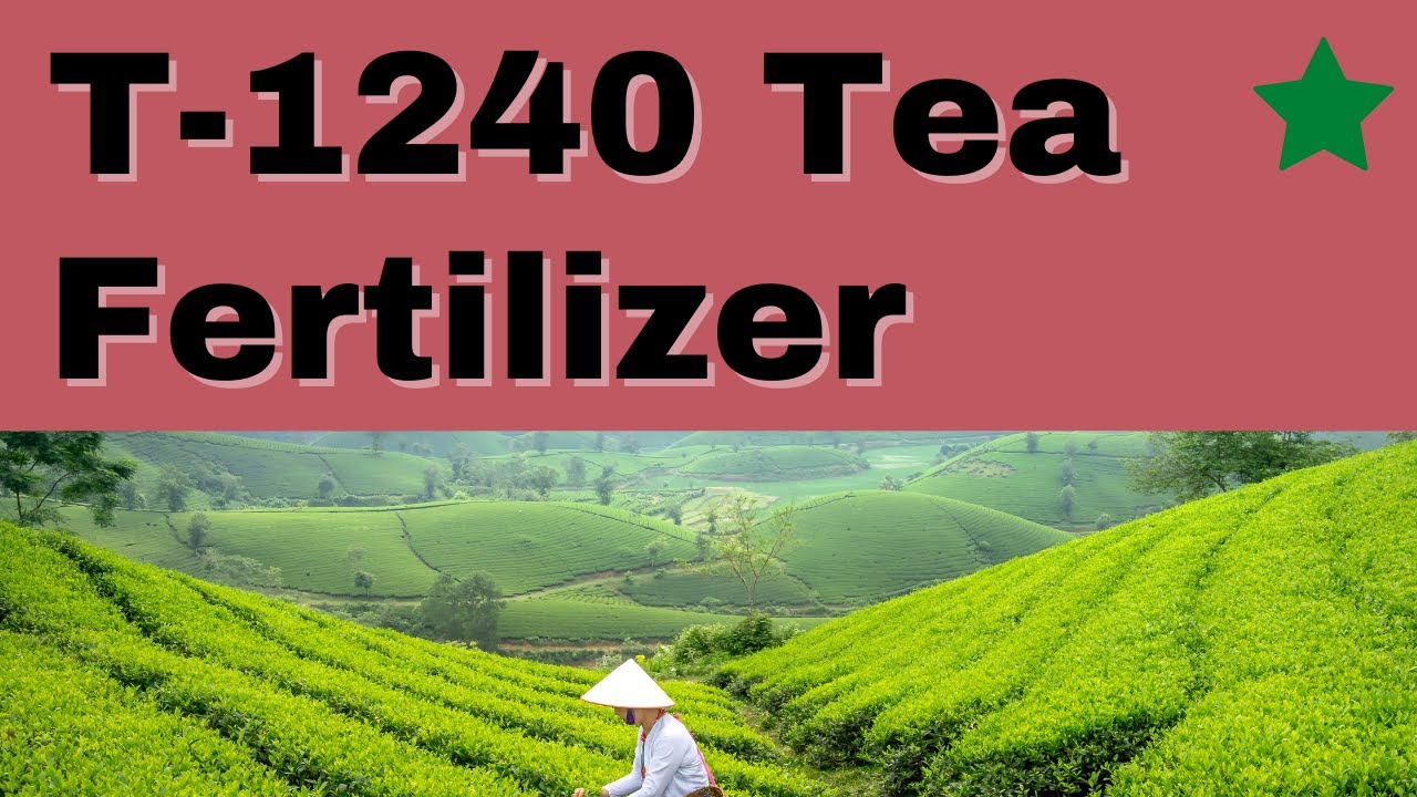 T-1240 නවතම තේ පොහොර මිශ්‍රණය (New Tea Fertilizer mixture for Mature Tea) #Tea #fertilizer #teaslk