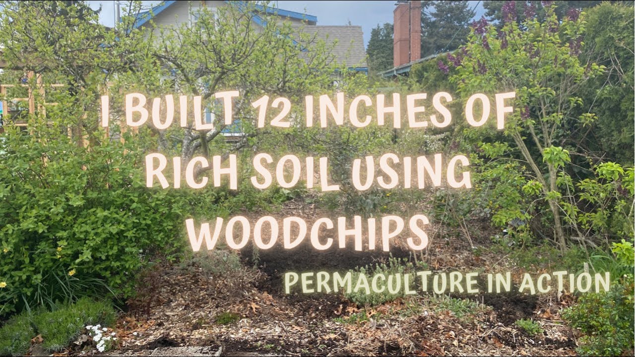 I Built 12 Inches of Rich Soil Using Woodchips