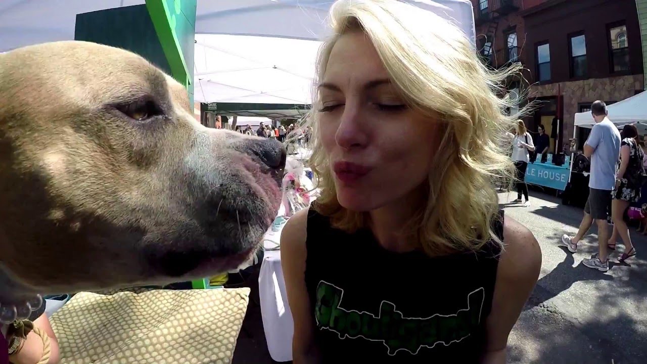 Missy Kisses A Dog (Badass Brooklyn Animal Rescue)