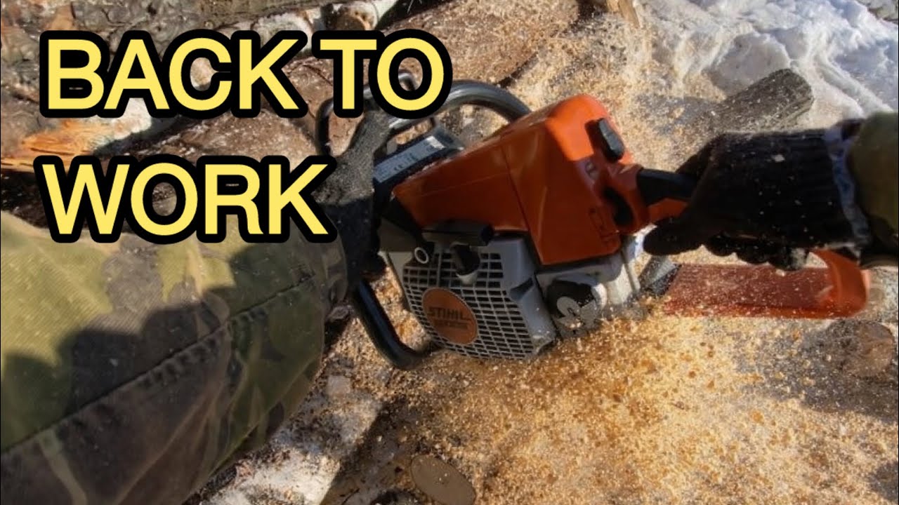 Back to Work | Chainsaw After 28 Days Idle