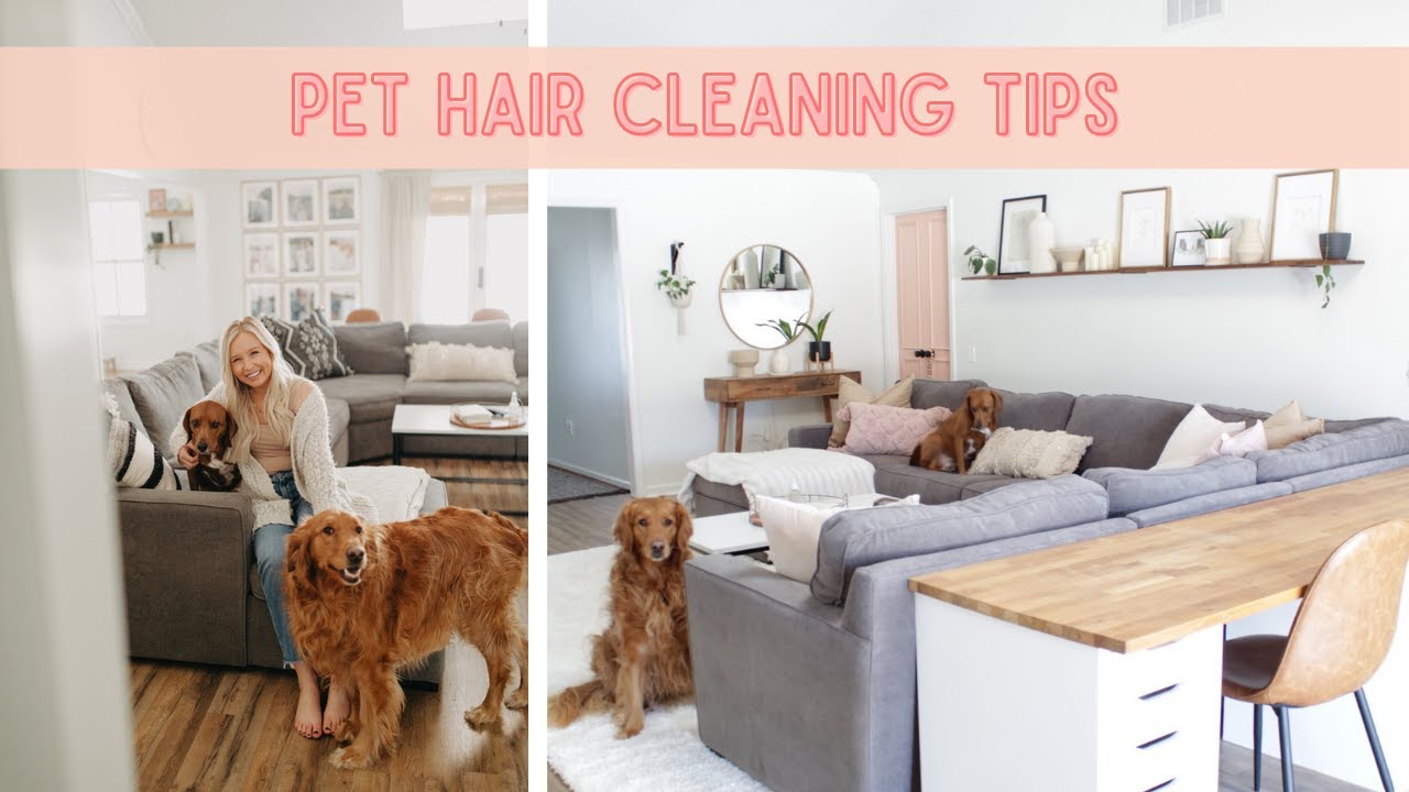 Pet Hair Cleaning Tips | How To Clean Your House With Shedding Pets | The Best Vacuum for Pet Hair