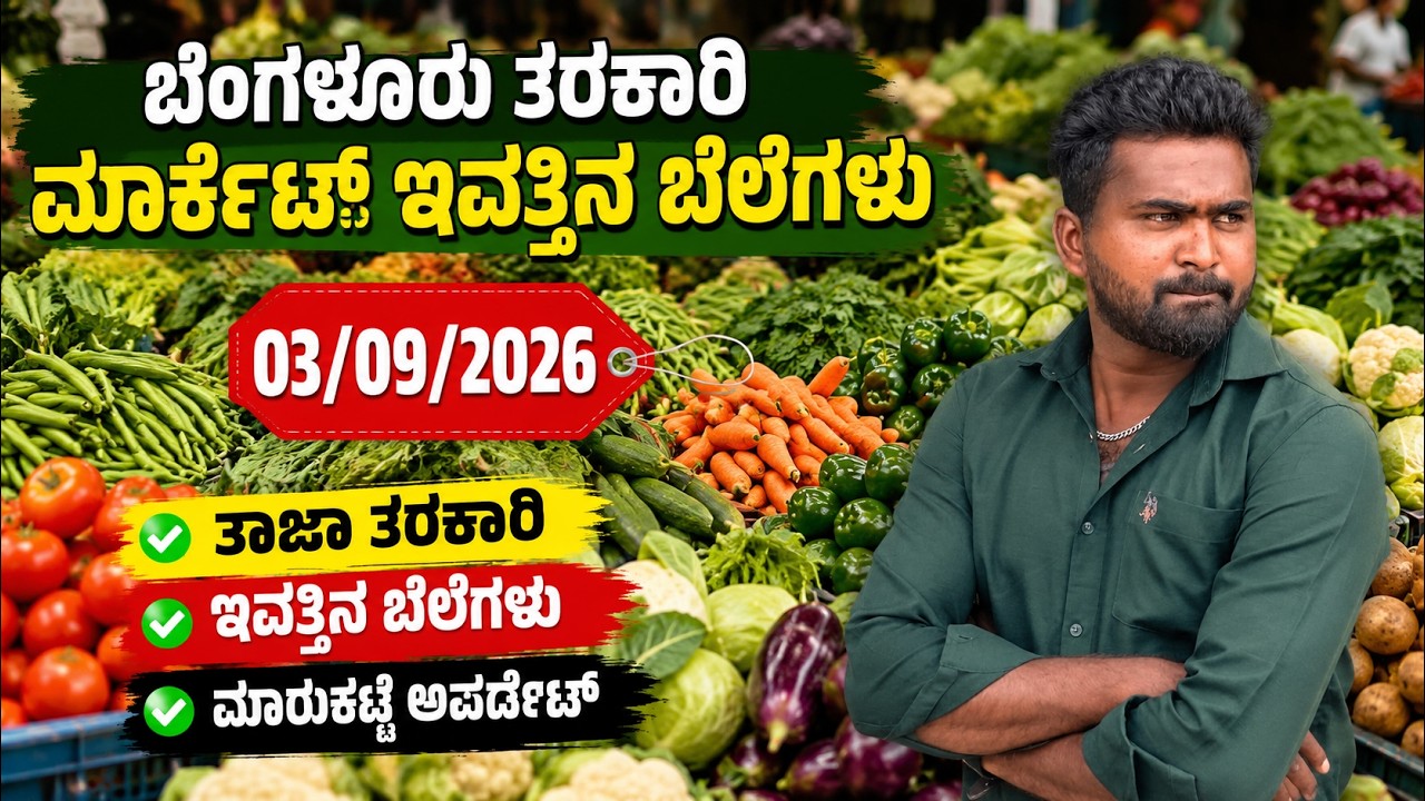 ಬೆಂಗಳೂರು ತರಕಾರಿ   ಮಾರ್ಕೆಟ್ ಇವತ್ತಿನ ಬೆಲೆಗಳು 03/09/2026 Bangalore tarkari  today rate
