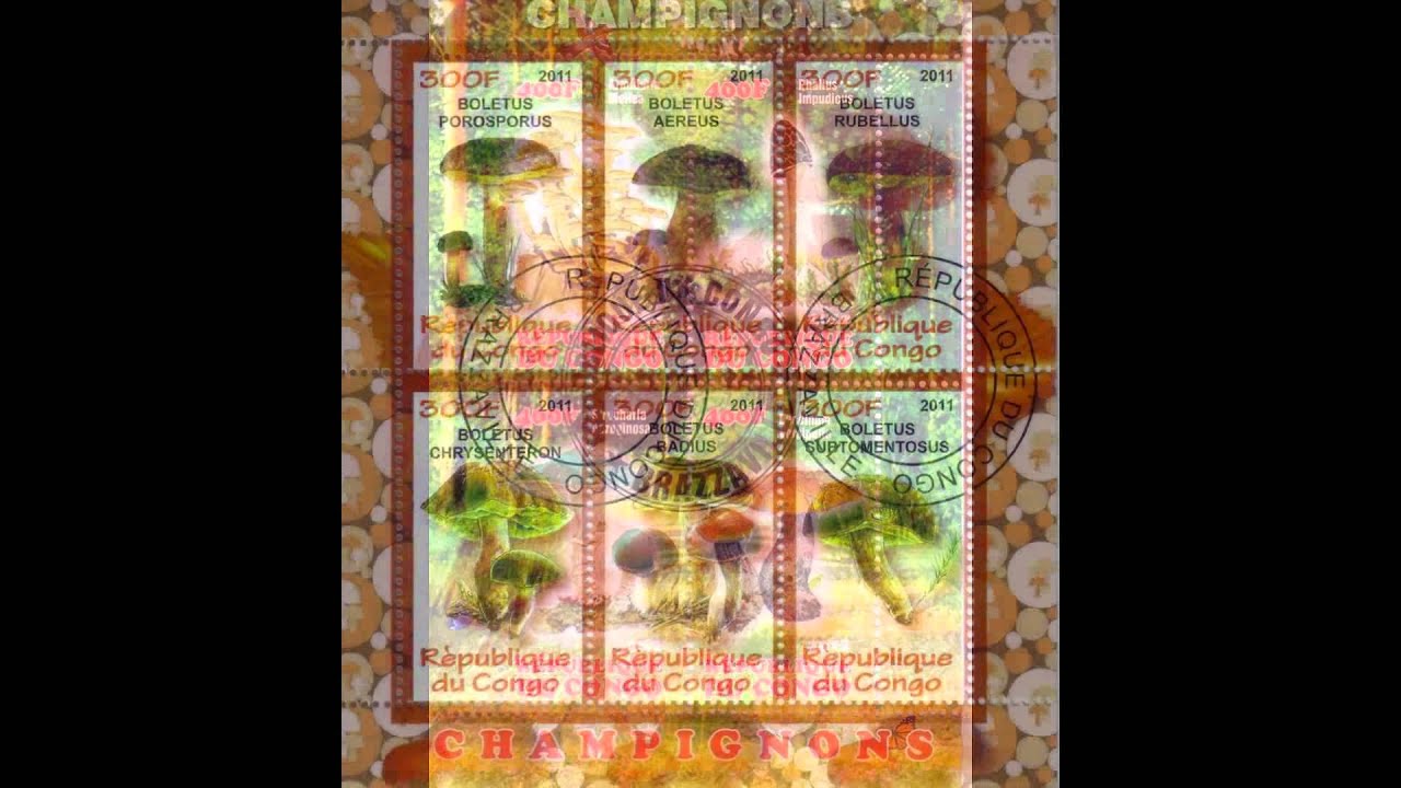 TOPICAL STAMP COLLECTION: WELCOME TO THE WORLD OF MUSHROOMS!