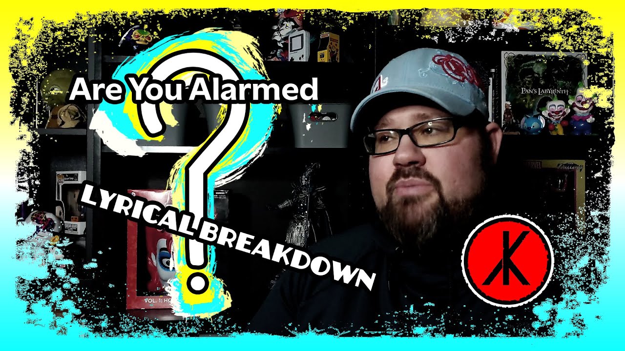 Are You Alarmed Lyrical Breakdown