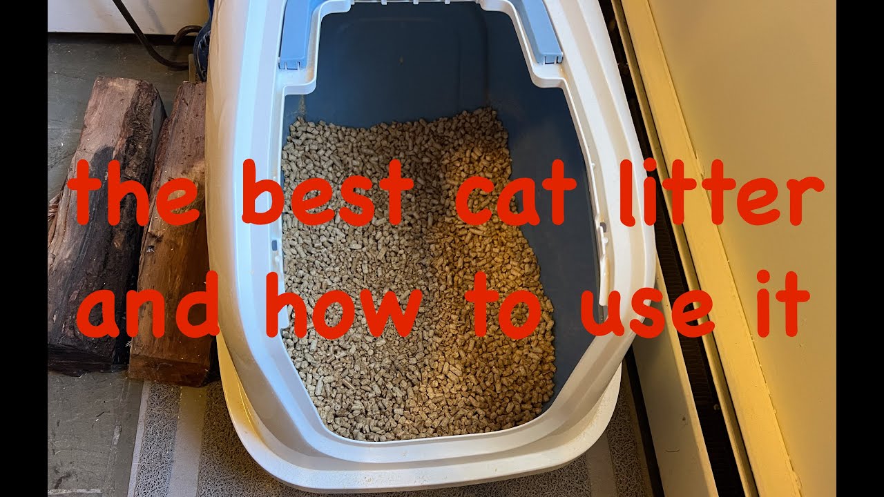 Using the Best Cat Litter : Pine Pellet Cat Litter