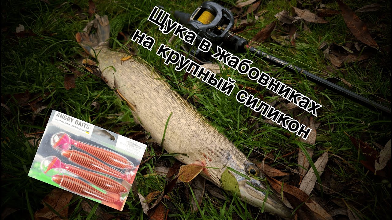 Щука в жабовнике: ловим на крупный силикон!
