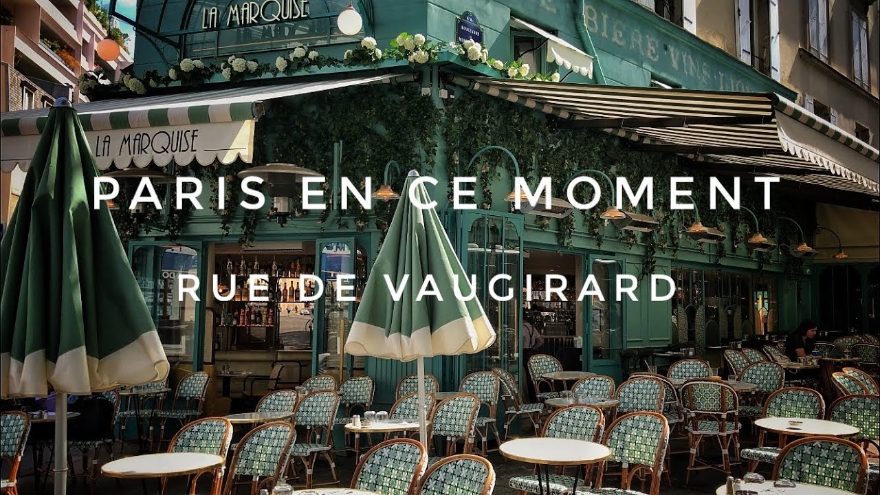WALK IN PARIS (RUE DE VAUGIRARD) 25/07/2020 PARIS 4K
