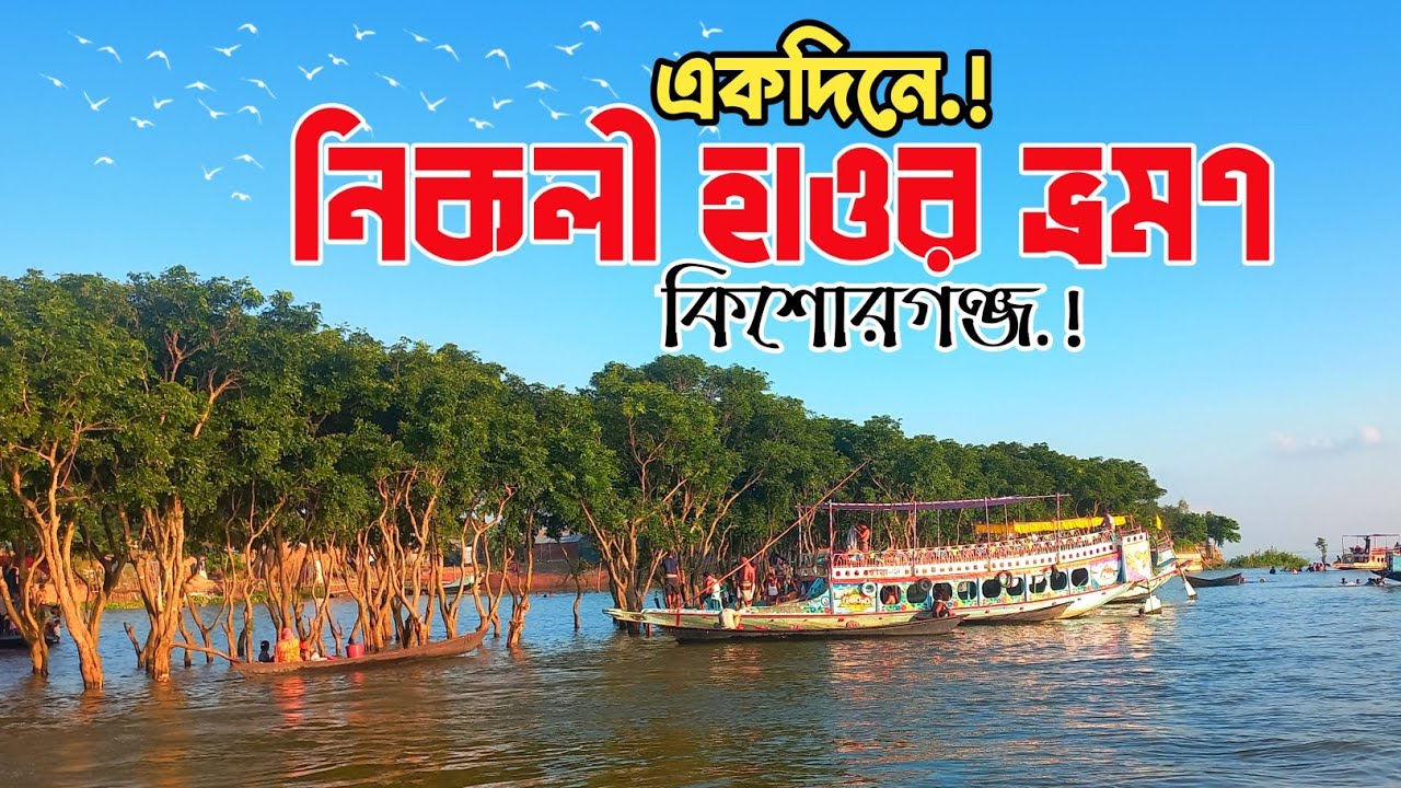 নিকলী হাওর ভ্রমণ কিশোরগঞ্জ ২০২৫|Nikli Hoar Tour 2025|Day Tour Nikli Hoar Kishorganj|Nikli Tour🇧🇩