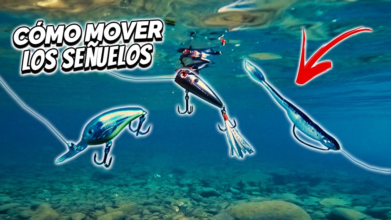 Cómo Mover los Señuelos para Lobina | Guía Para Pescar Lobina