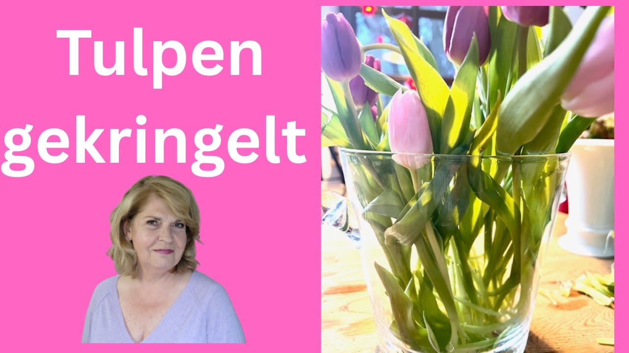 mal was anderes - Tulpen-gekringelt  Deko