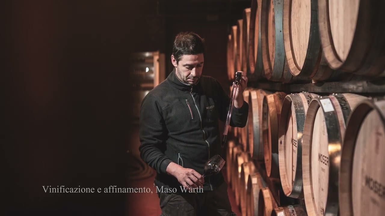 MOSER Trento: origine, innovazione, terroir