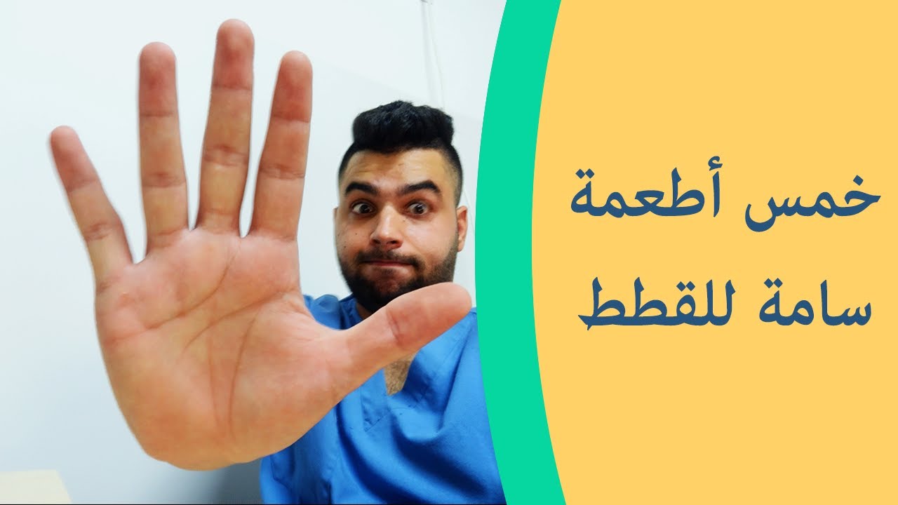 خمس أطعمة خطيرة  و سامة للقطط ( أطعمة تسبب التسمم للقطط )