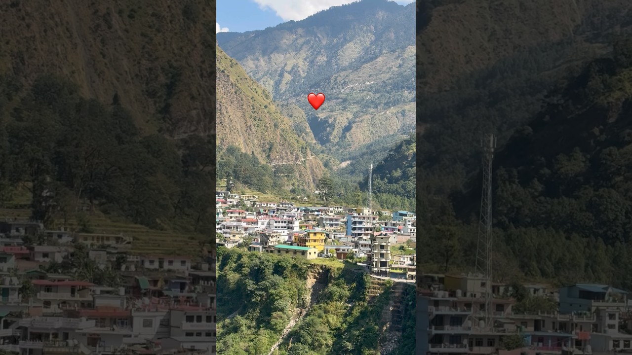 #madkot