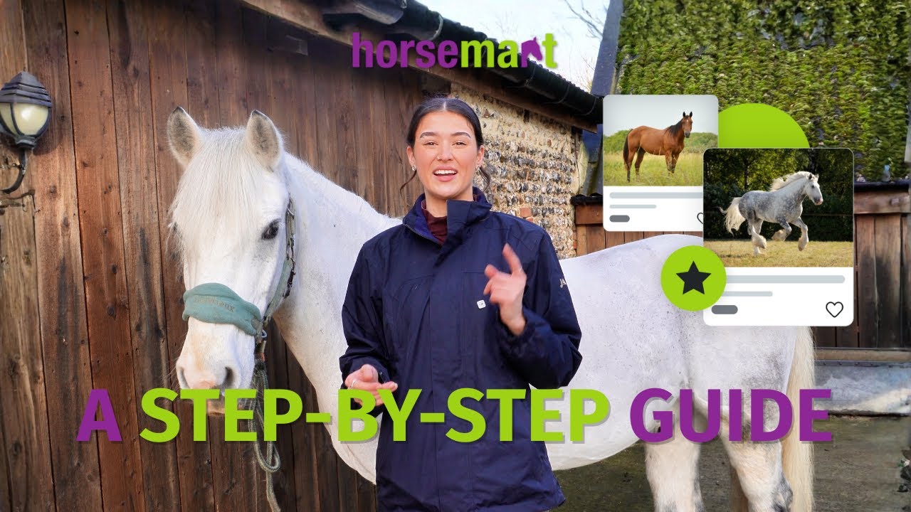 The Truth About Selling a Horse Online