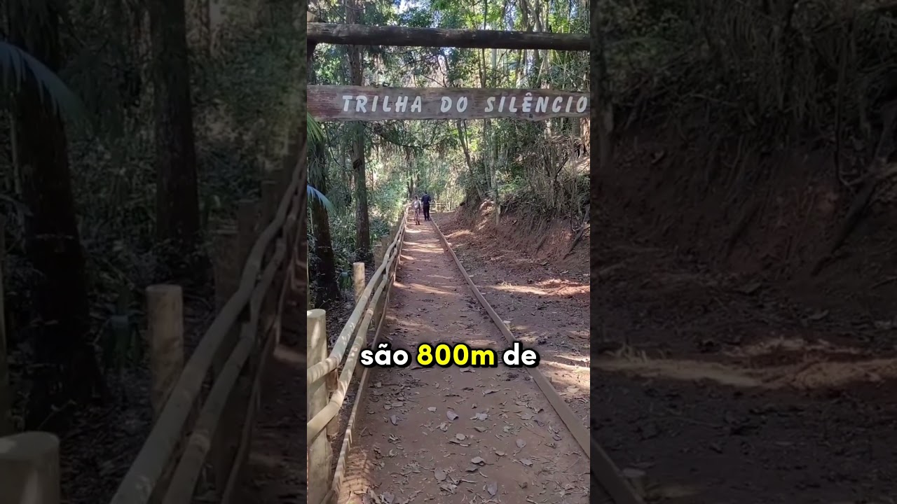 J&aacute; pensou em fazer trilhas em S&atilde;o Paulo? ⛰️🥾 #saopaulo #trilha #nature