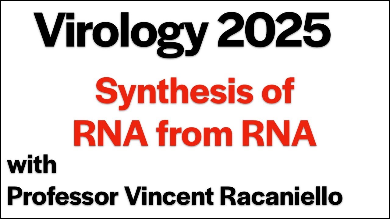 Virology Lectures 2025 #6: Synthesis of RNA from RNA