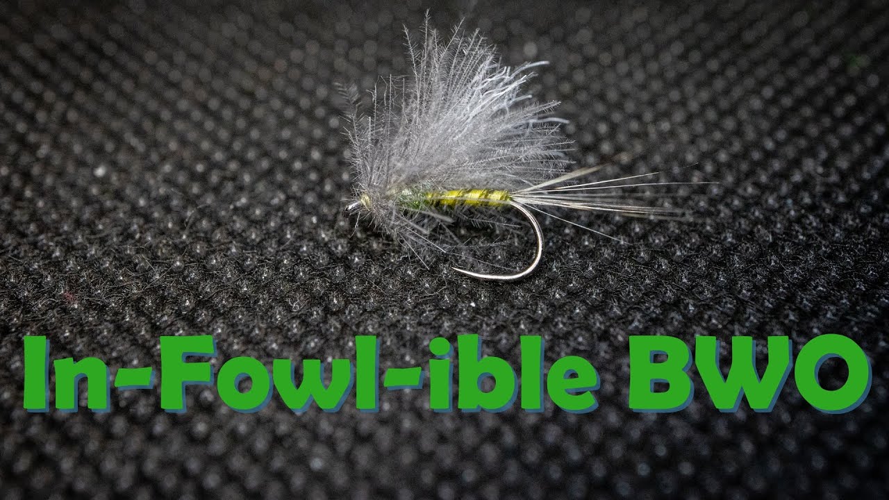 An Effective Blue Winged Olive Dry Fly - The In-fowl-ible BWO