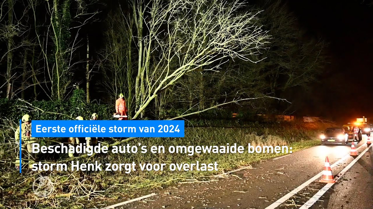 Beschadigde auto's en omgewaaide bomen: storm Henk zorgt voor overlast | Hart van Nederland