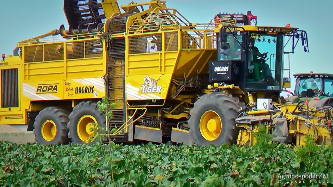 Donau farm - ROPA euroTIGER V8-4 & JohnDeere 8R + HAWE RUW 4000 2017