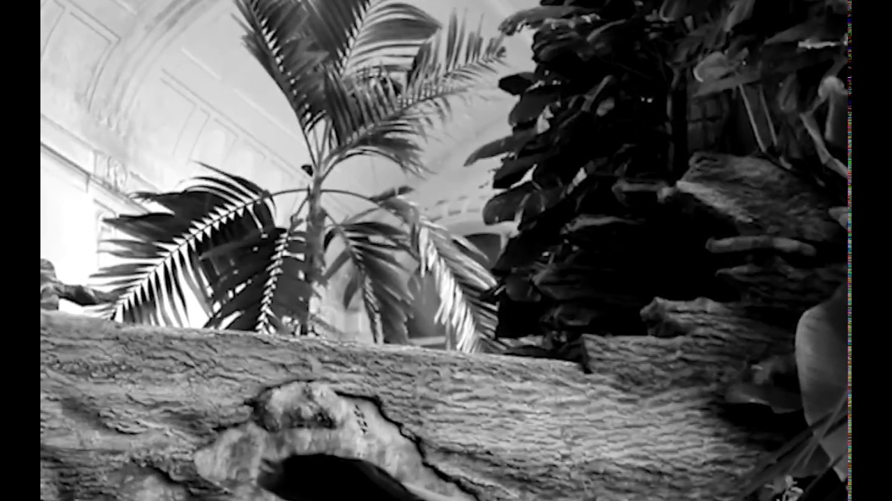 Fuzzman - I tua wohl (official Video)