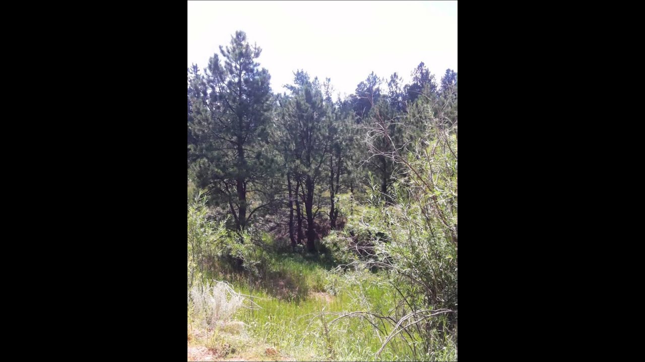 216 Arrowhead- Building lot