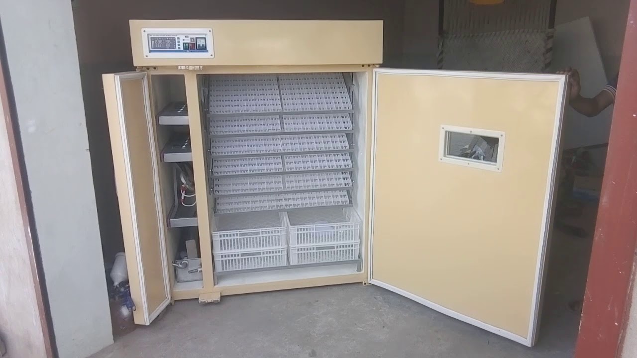 Wifi  poultry hatchery